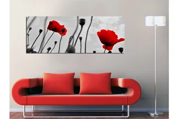 Lerretsbilde 80x30 cm - Rød valmue mot svart og hvit bakgrunn - Rød / Svart / Grå - Interiør - Maleri & posters - Lerretsbilder