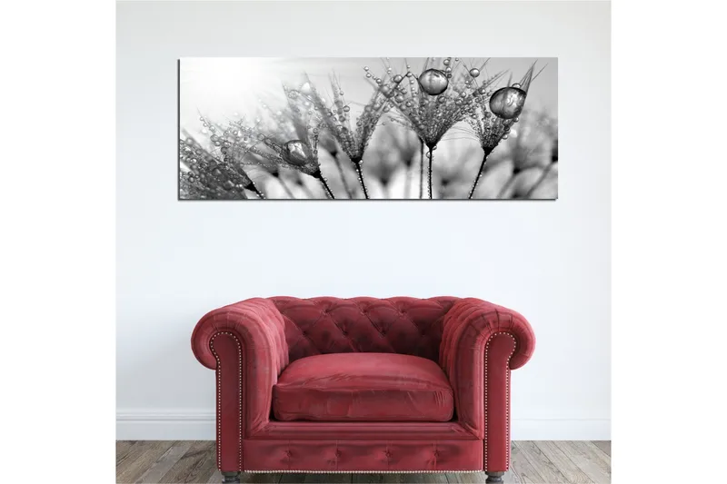 Lerretsbilde 80x30 cm - Svart-hvitt bilde av vanndråper på fjær - Svart / Hvit / Grå - Interiør - Maleri & posters - Lerretsbilder