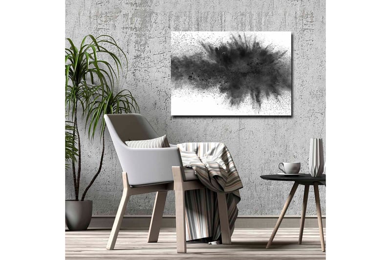 Lerretsbilde - Abstrakt eksplosjon av svart blekk - Svart / Grå - Interiør - Maleri & posters - Lerretsbilder
