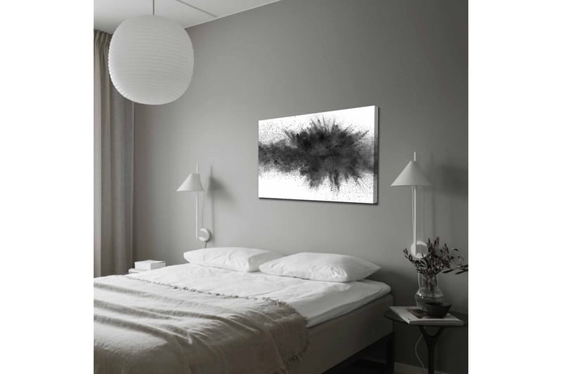 Lerretsbilde - Abstrakt eksplosjon av svart blekk - Svart / Grå - Interiør - Maleri & posters - Lerretsbilder