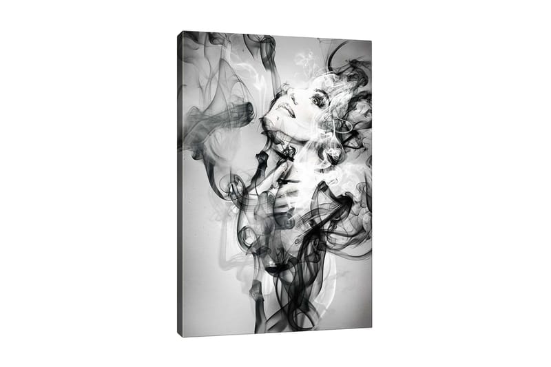 Lerretsbilde - Abstrakt portrett av en kvinne omgitt av røykfylte former, Svart / Hvit / Grå