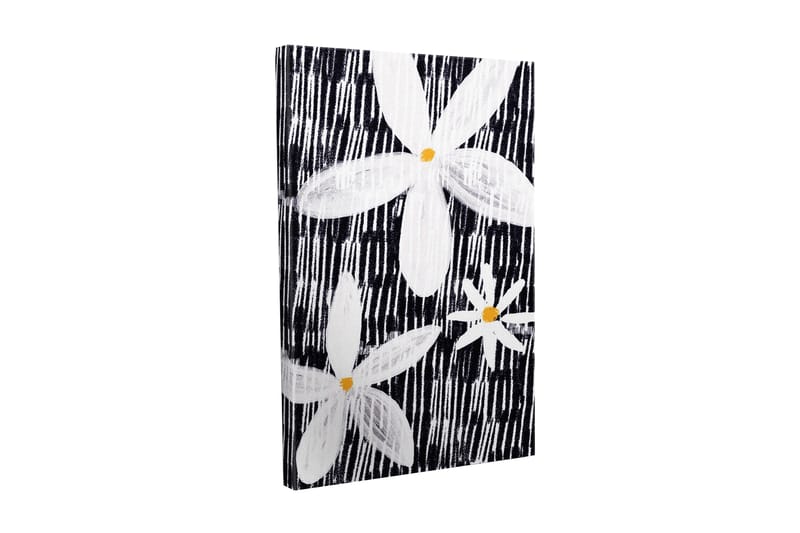 Lerretsbilde - Blomster i hvitt og gult mot svart bakgrunn, Hvit / Svart / Gul