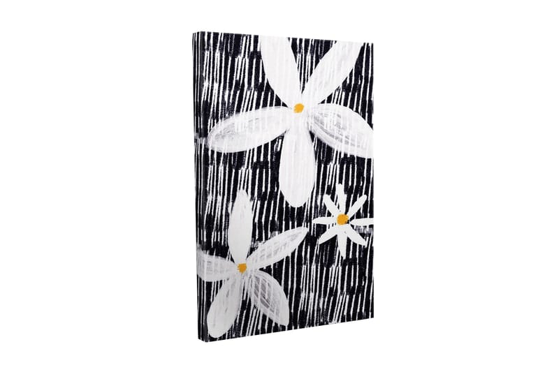 Lerretsbilde - Blomster i hvitt og gult mot svart bakgrunn, Hvit / Svart / Gul