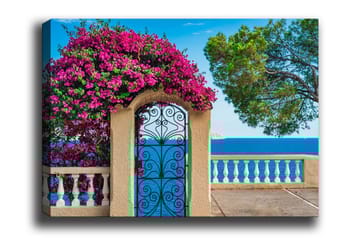 Lerretsbilde - Blomstrende bougainvillea ved en smijernsport med havutsikt - Rosa / Blå / Grønn - Interiør - Maleri & posters - Lerretsbilder