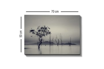 Lerretsbilde - Ensomt tre i tåkete vannlandskap - Svart / Grå / Hvit - Interiør - Maleri & posters - Lerretsbilder