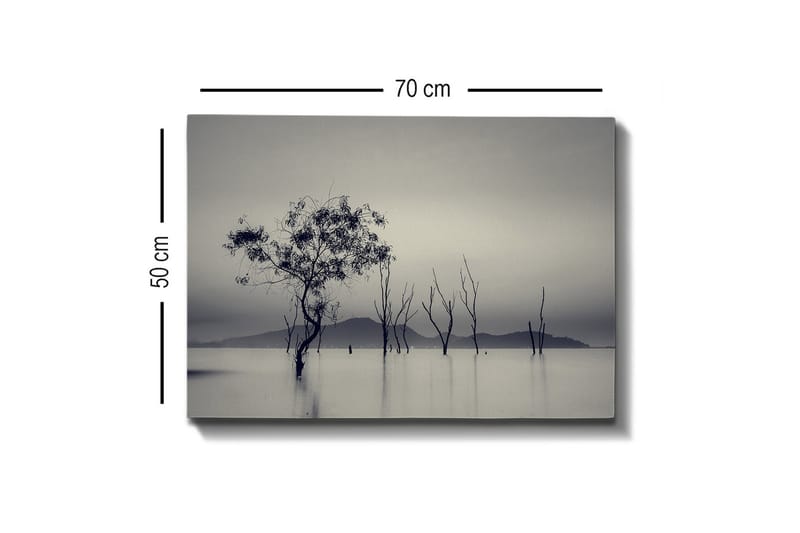 Lerretsbilde - Ensomt tre i tåkete vannlandskap - Svart / Grå / Hvit - Interiør - Maleri & posters - Lerretsbilder