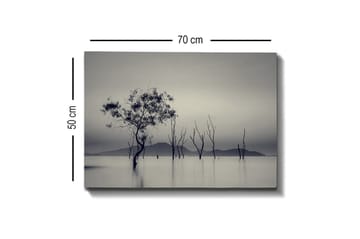 Lerretsbilde - Ensomt tre i tåkete vannlandskap - Svart / Grå / Hvit - Interiør - Maleri & posters - Lerretsbilder