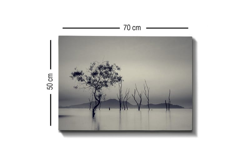 Lerretsbilde - Ensomt tre i tåkete vannlandskap - Svart / Grå / Hvit - Interiør - Maleri & posters - Lerretsbilder