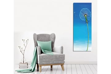 Lerretsbilde - Følfot med blå bakgrunn - Blå / Grønn / Hvit - Interiør - Maleri & posters - Lerretsbilder