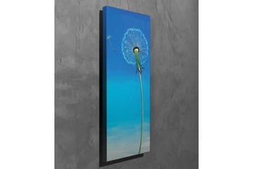 Lerretsbilde - Følfot med blå bakgrunn - Blå / Grønn / Hvit - Interiør - Maleri & posters - Lerretsbilder