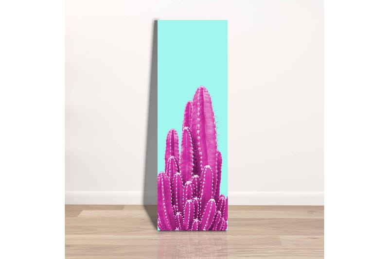 Lerretsbilde - Fargerik kaktus mot en lyseblå bakgrunn - Lys blå / Rosa - Interiør - Maleri & posters - Lerretsbilder
