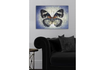 Lerretsbilde - Fargerik sommerfugl med detaljerte vinger - Blå / Svart / Oransje - Interiør - Maleri & posters - Lerretsbilder