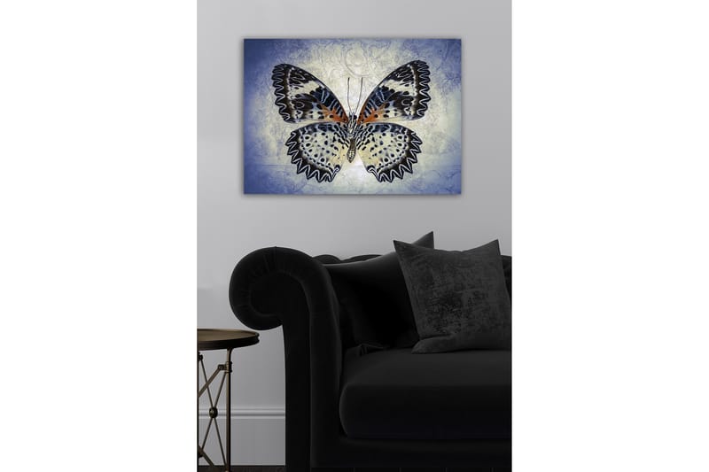 Lerretsbilde - Fargerik sommerfugl med detaljerte vinger - Blå / Svart / Oransje - Interiør - Maleri & posters - Lerretsbilder