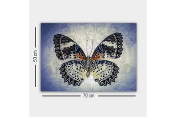 Lerretsbilde - Fargerik sommerfugl med detaljerte vinger - Blå / Svart / Oransje - Interiør - Maleri & posters - Lerretsbilder