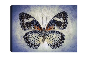Lerretsbilde - Fargerik sommerfugl med detaljerte vinger - Blå / Svart / Oransje - Interiør - Maleri & posters - Lerretsbilder