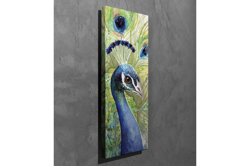 Lerretsbilde - Fargerik påfugl med utsmykket fjærdrakt - Blå / Grønn / Svart - Interiør - Maleri & posters - Lerretsbilder