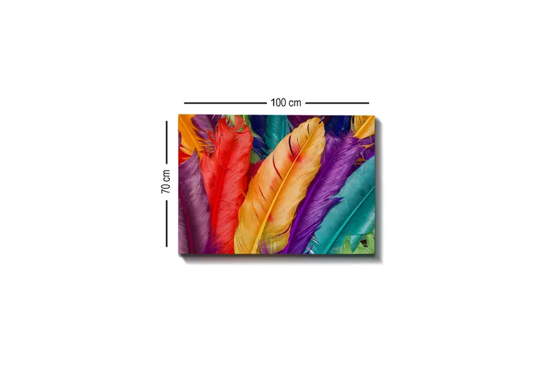 Lerretsbilde - Fargerike fjær i forskjellige nyanser - Rød / Lilla / Oransje - Interiør - Maleri & posters - Lerretsbilder