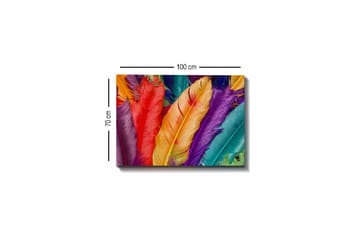 Lerretsbilde - Fargerike fjær i forskjellige nyanser - Rød / Lilla / Oransje - Interiør - Maleri & posters - Lerretsbilder