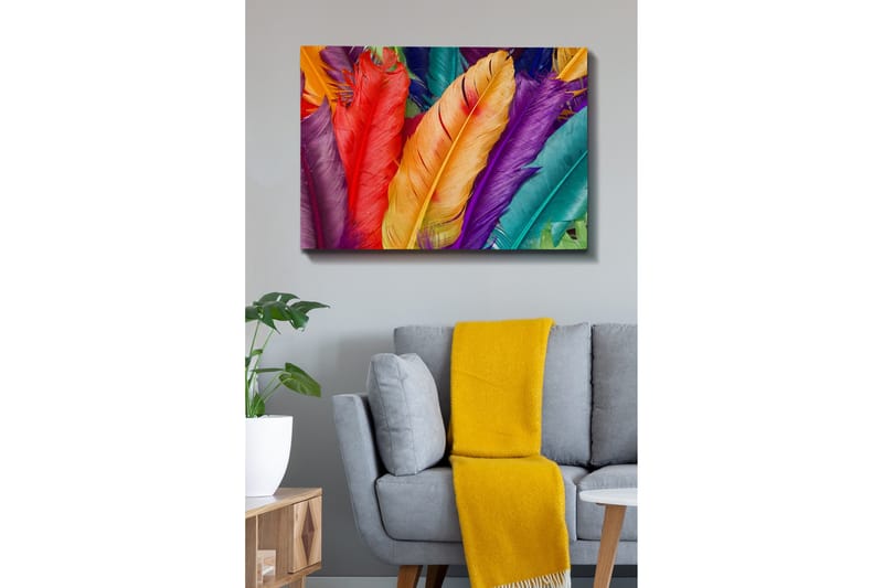 Lerretsbilde - Fargerike fjær i forskjellige nyanser - Rød / Lilla / Oransje - Interiør - Maleri & posters - Lerretsbilder