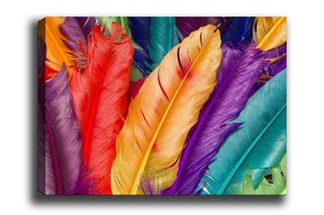 Lerretsbilde - Fargerike fjær i forskjellige nyanser - Rød / Lilla / Oransje - Interiør - Maleri & posters - Lerretsbilder