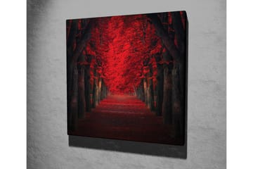 Lerretsbilde - Frodig allé med intenst røde trær i høstfarger - Rød / Svart - Interiør - Maleri & posters - Lerretsbilder