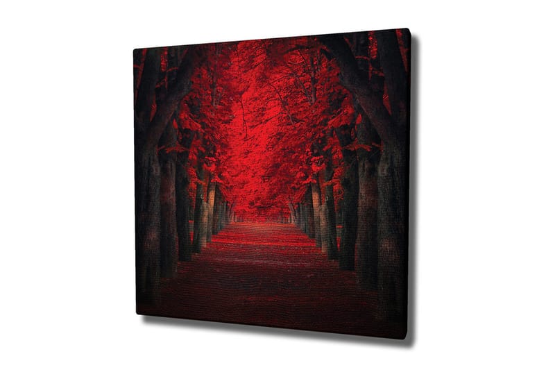 Lerretsbilde - Frodig allé med intenst røde trær i høstfarger, Rød / Svart