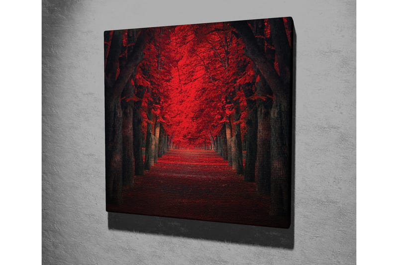 Lerretsbilde - Frodig allé med intenst røde trær i høstfarger - Rød / Svart - Interiør - Maleri & posters - Lerretsbilder