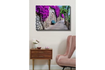 Lerretsbilde - Frodig gangvei omgitt av blomstrende bougainvillea - Lilla / Grå / Grønn - Interiør - Maleri & posters - Lerretsbilder