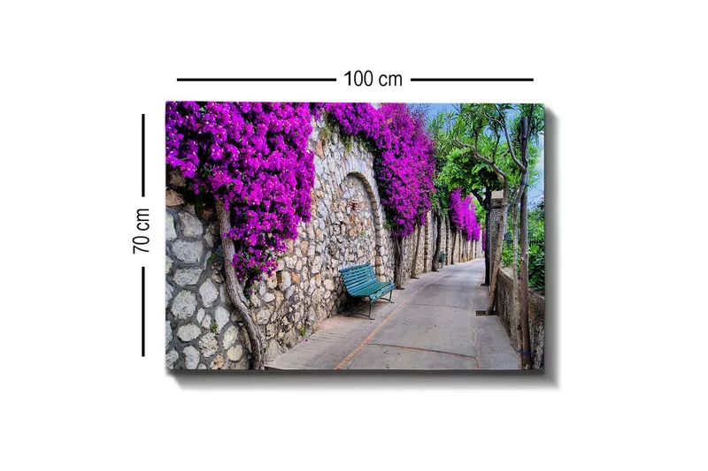 Lerretsbilde - Frodig gangvei omgitt av blomstrende bougainvillea - Lilla / Grå / Grønn - Interiør - Maleri & posters - Lerretsbilder