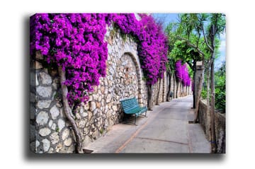Lerretsbilde - Frodig gangvei omgitt av blomstrende bougainvillea - Lilla / Grå / Grønn - Interiør - Maleri & posters - Lerretsbilder