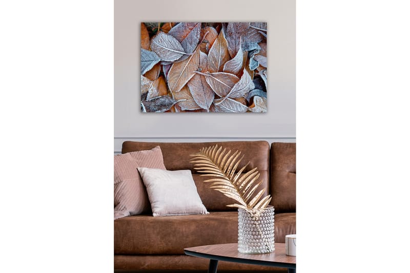 Lerretsbilde - Frosne høstblader i varme fargetoner - Oransje / Grå / Hvit - Interiør - Maleri & posters - Lerretsbilder