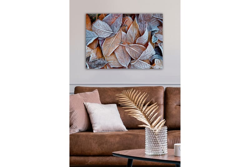 Lerretsbilde - Frosne høstblader i varme fargetoner - Oransje / Grå / Hvit - Interiør - Maleri & posters - Lerretsbilder