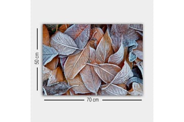 Lerretsbilde - Frosne høstblader i varme fargetoner - Oransje / Grå / Hvit - Interiør - Maleri & posters - Lerretsbilder