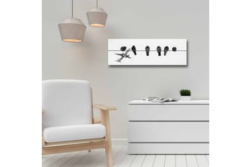 Lerretsbilde - Fugler på en wire med et fly i bakgrunnen - Svart / Hvit - Interiør - Maleri & posters - Lerretsbilder