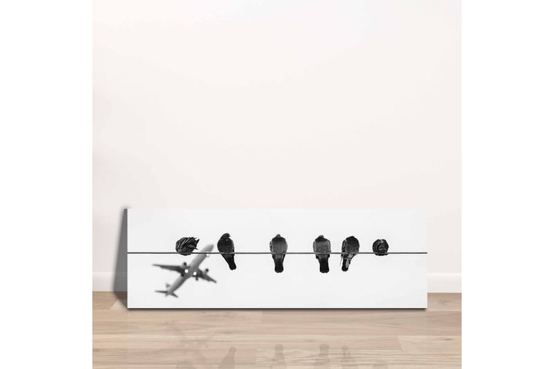 Lerretsbilde - Fugler på en wire med et fly i bakgrunnen - Svart / Hvit - Interiør - Maleri & posters - Lerretsbilder