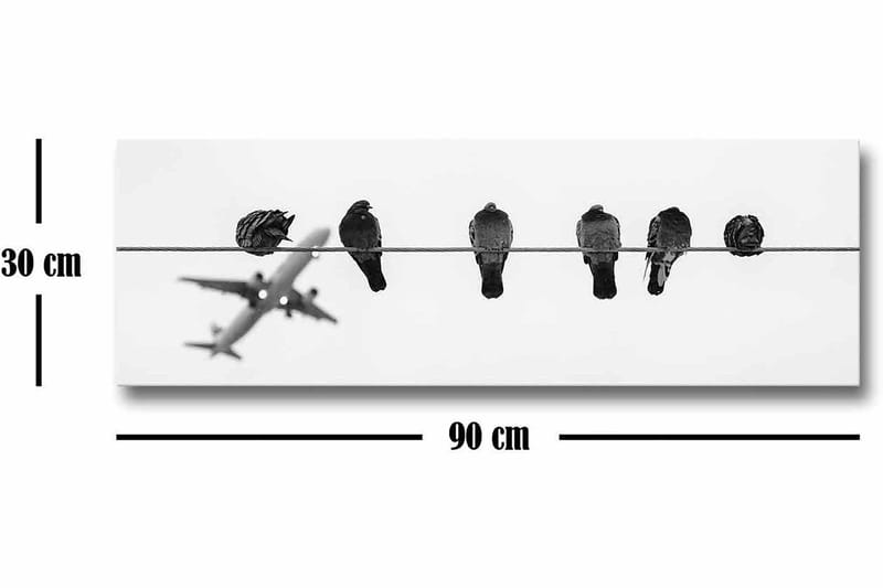 Lerretsbilde - Fugler på en wire med et fly i bakgrunnen - Svart / Hvit - Interiør - Maleri & posters - Lerretsbilder