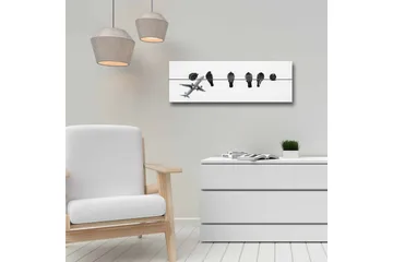 Lerretsbilde - Fugler på en wire med et fly i bakgrunnen - Svart / Hvit - Interiør - Maleri & posters - Lerretsbilder