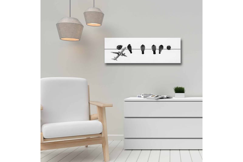 Lerretsbilde - Fugler på en wire med et fly i bakgrunnen - Svart / Hvit - Interiør - Maleri & posters - Lerretsbilder