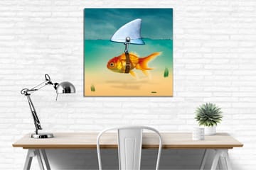 Lerretsbilde - Gullfisk med finne som svømmer i klart vann - Turkis / Oransje / Beige - Interiør - Maleri & posters - Lerretsbilder