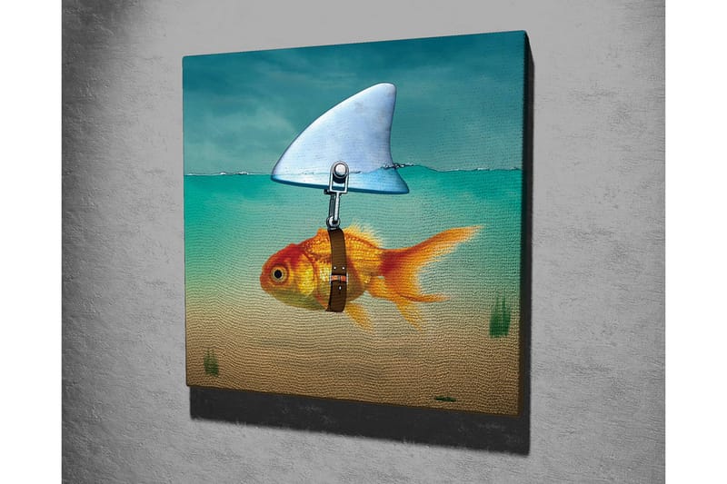 Lerretsbilde - Gullfisk med finne som svømmer i klart vann - Turkis / Oransje / Beige - Interiør - Maleri & posters - Lerretsbilder