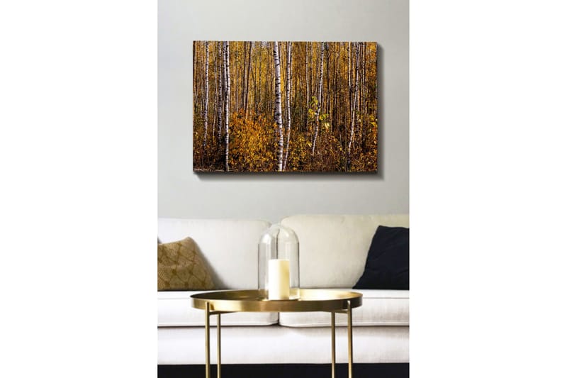 Lerretsbilde - Gyllen høstskog med bjørker - Gul / Hvit / Brun - Interiør - Maleri & posters - Lerretsbilder