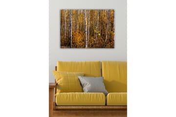 Lerretsbilde - Høstskog med bjørker og gylne blader - Gull / Hvit / Brun - Interiør - Maleri & posters - Lerretsbilder