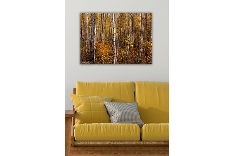 Lerretsbilde - Høstskog med bjørker og gylne blader - Gull / Hvit / Brun - Interiør - Maleri & posters - Lerretsbilder