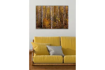Lerretsbilde - Høstskog med bjørker og gylne blader - Gull / Hvit / Brun - Interiør - Maleri & posters - Lerretsbilder