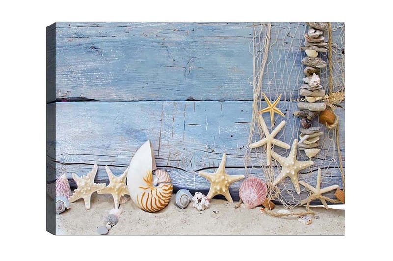 Lerretsbilde - Havinspirert samling av skjell og sjøstjerner, Blå / Beige / Hvit