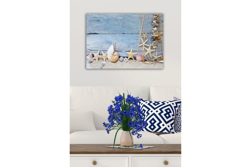 Lerretsbilde - Havinspirert samling av skjell og sjøstjerner - Blå / Beige / Hvit - Interiør - Maleri & posters - Lerretsbilder