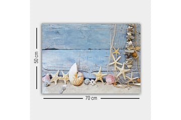 Lerretsbilde - Havinspirert samling av skjell og sjøstjerner - Blå / Beige / Hvit - Interiør - Maleri & posters - Lerretsbilder