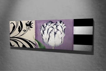 Lerretsbilde - Hvit tulipan mot lilla bakgrunn - Hvit / Lilla / Svart - Interiør - Maleri & posters - Lerretsbilder