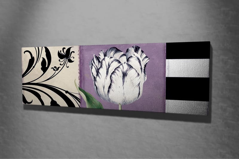 Lerretsbilde - Hvit tulipan mot lilla bakgrunn - Hvit / Lilla / Svart - Interiør - Maleri & posters - Lerretsbilder