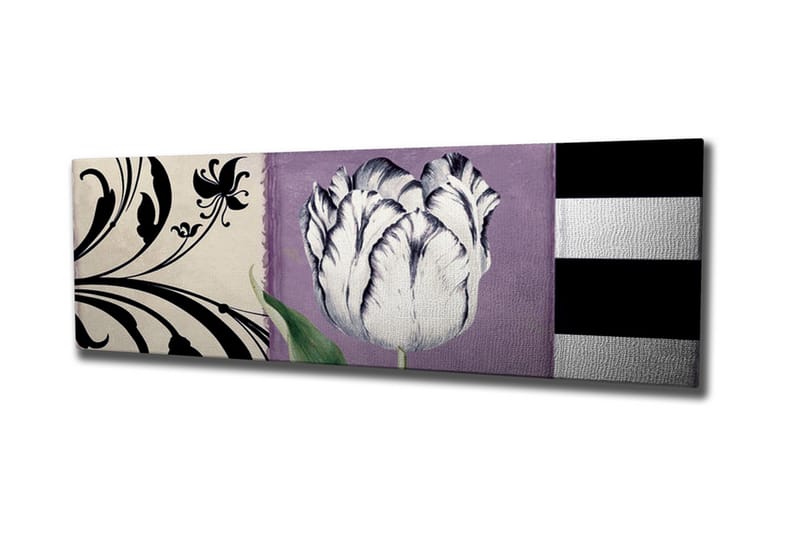 Lerretsbilde - Hvit tulipan mot lilla bakgrunn, Hvit / Lilla / Svart